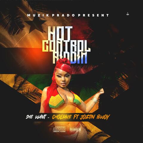 She Want (feat. Choliare & Joztin Bwoy)