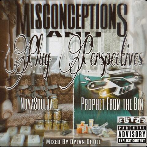 Misconceptions & Plug Perspectives