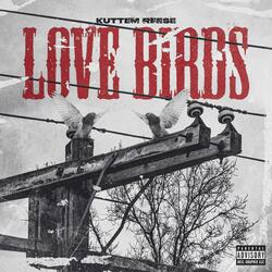Love Birds
