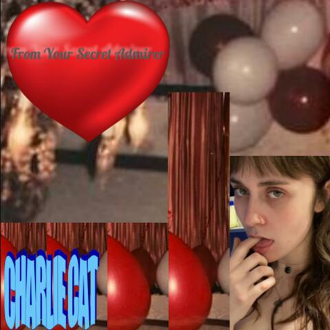 From Your Secret Admirer