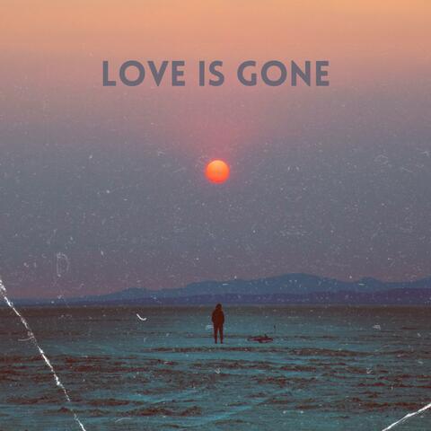 Love is Gone