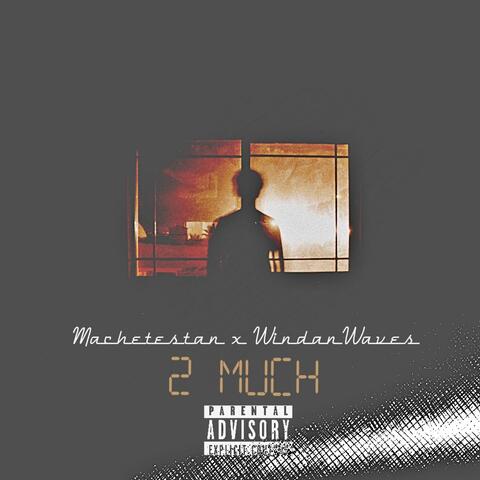 2 Much (feat. Machetestan)