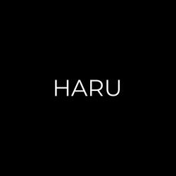 Haru (Frieren: Beyond Journey's End OP)