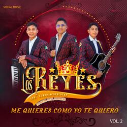 Me quieres como yo te quiero