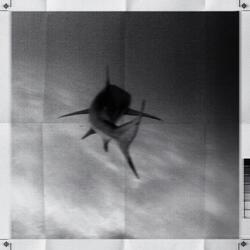 GÜVENİM YOK (feat. Giancana)