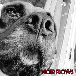 Noir Flows