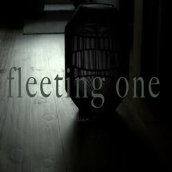 fleeting one