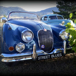 Street Blues