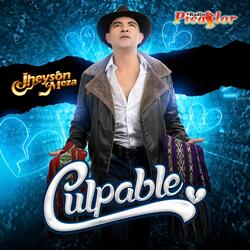 Culpable (feat. Radio Picaflor)