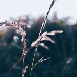 The Quite Autumn Night Wore Slowly On