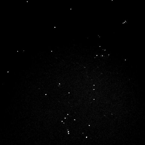 Water, LA550, My Strange Dreams, and If You Cared (A Collection of Experiments and New Sounds)