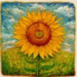 My Sunflower