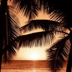 Tranquility Tunes-Part V