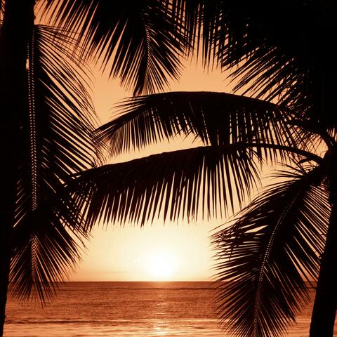 Tranquility Tunes