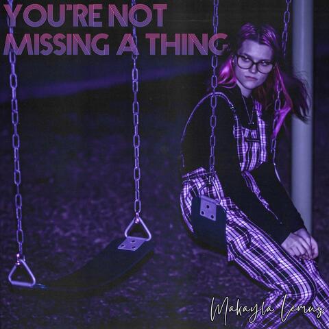 You're Not Missing A Thing