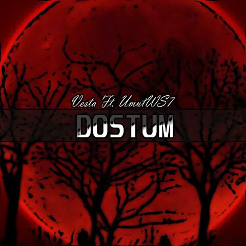 DOSTUM (feat. UmutWS7)