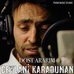 Dost Ararım