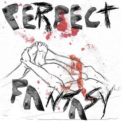 Perfect Fantasy