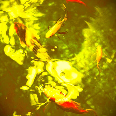 Koi Pond Posse (feat. Pink Navel & Nancy Kneebrace)