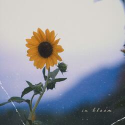 till the end of the world