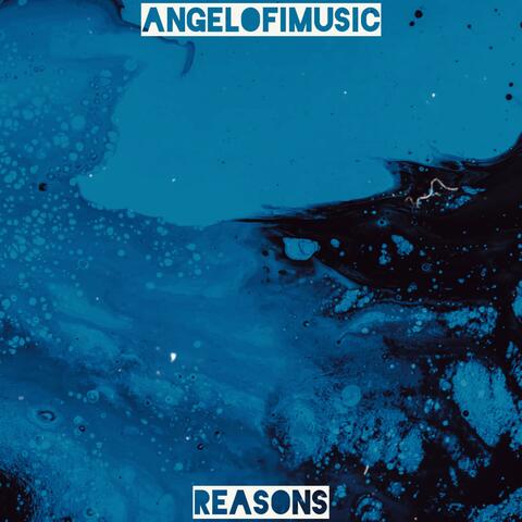 Reasons