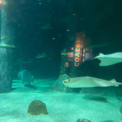 Bury Me (feat. Sam Babineau)