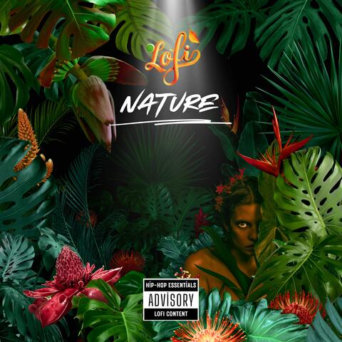 NATURE: A Lofi Journey Through Earth's Serenity