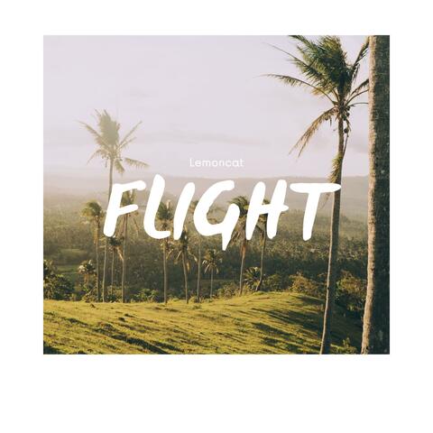 Flight
