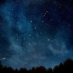Cygnus