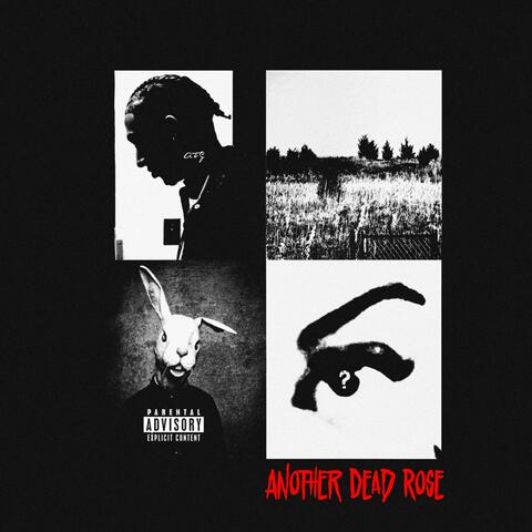 ANOTHER DEAD ROSE (THE EP)