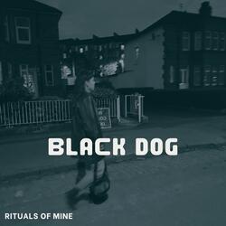 Black Dog