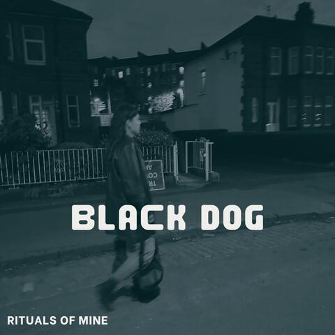 Black Dog