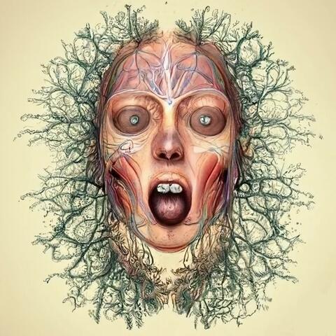 Don't Lose Your Head