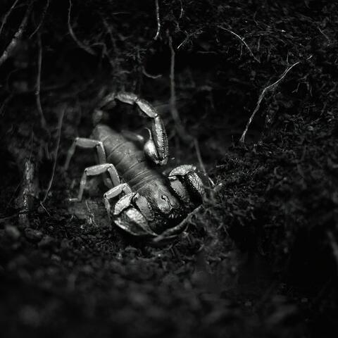 VENOM MODE 1