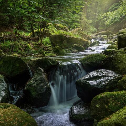 cascade