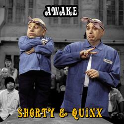 Awake (feat. QuinX)