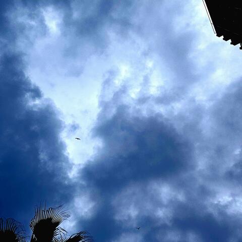 Cielo senza luna