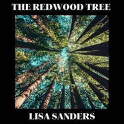 The Redwood Tree