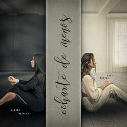 ECHARTE DE MENOS (feat. Dani Montes)