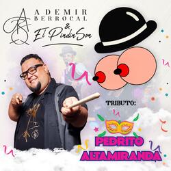 Tributo a Pedrito Altamiranda