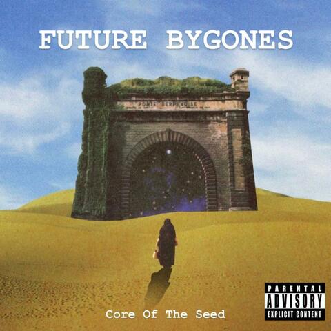 Core Of The Seed