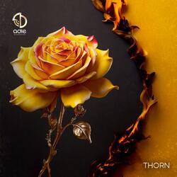 Thorn