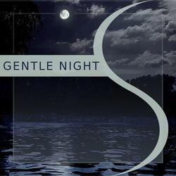 Gentle Night