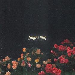 night life