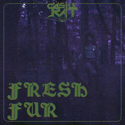 Fresh Fur