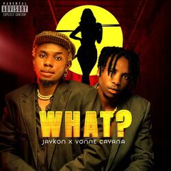 What (feat. Vonne cayana)