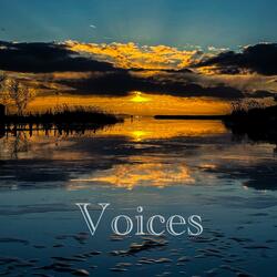 Voices