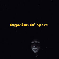 Darkness In Surface Part. II (The Dreams When Sleep)