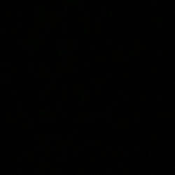 Black noise