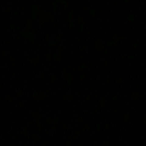 Black noise